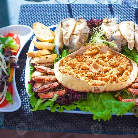 Stylish 1 By Homing *